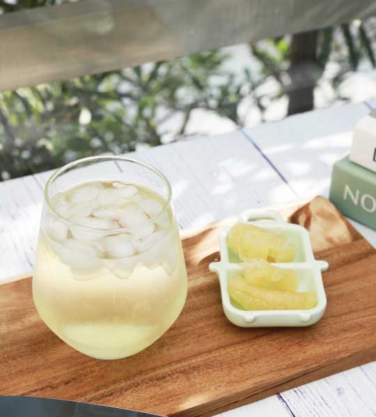 北鼎_烹煮壺_One用壺_蜂蜜柚子茶