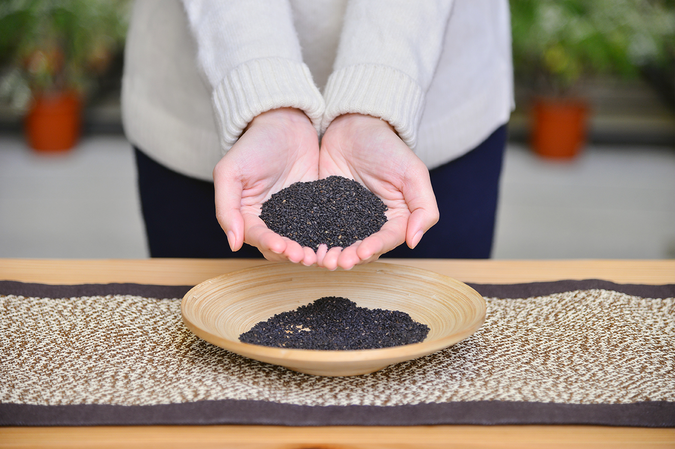 vitacodes-sesame-芝麻-白-黑-大侑-dietu