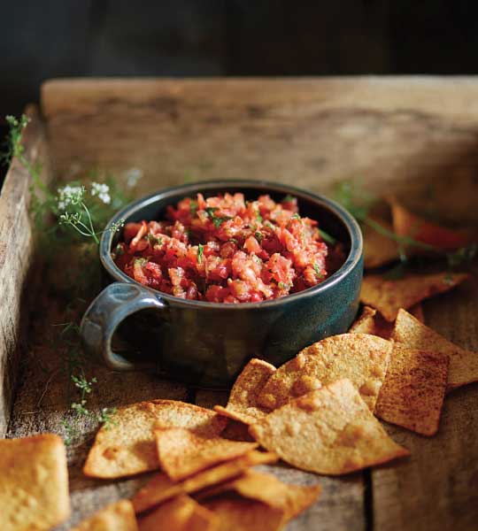 Vitamix調理機食譜-墨西哥莎莎醬