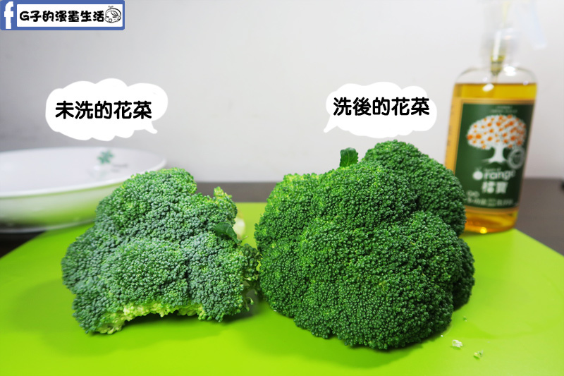 橘寶_gbao_多功能_清潔液_打掃_清潔_大掃除_洗碗精_除油垢_部落客_分享_G子的漫畫生活
