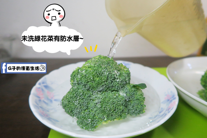 橘寶_gbao_多功能_清潔液_打掃_清潔_大掃除_洗碗精_除油垢_部落客_分享_G子的漫畫生活
