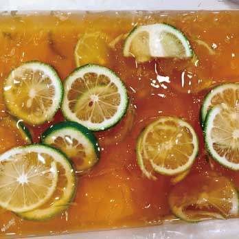 大侑_百貨分享會_愛玉_檸檬_Vitamix_調理機