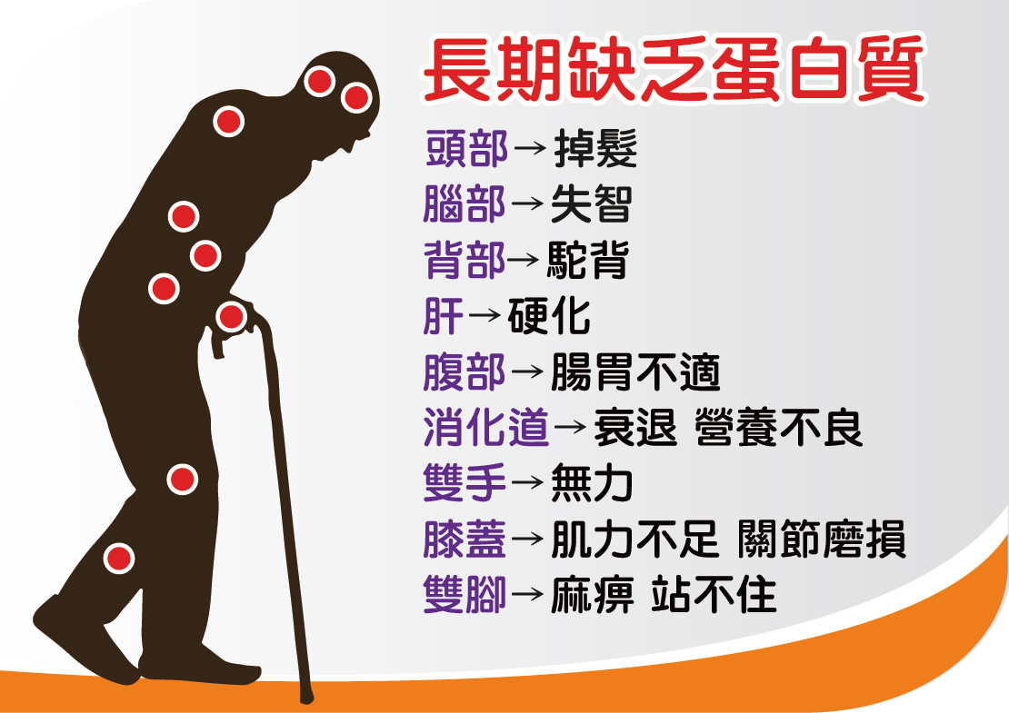 長期缺乏蛋白質對人體各部位的影響