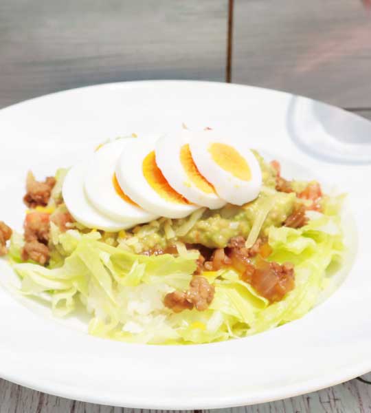 酪梨莎莎醬-Vitamix-大侑-調理機-S30-E320-沖繩塔可飯