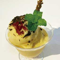 Vitamix_A3500i_A2500i_調理機-哈蜜瓜冰沙