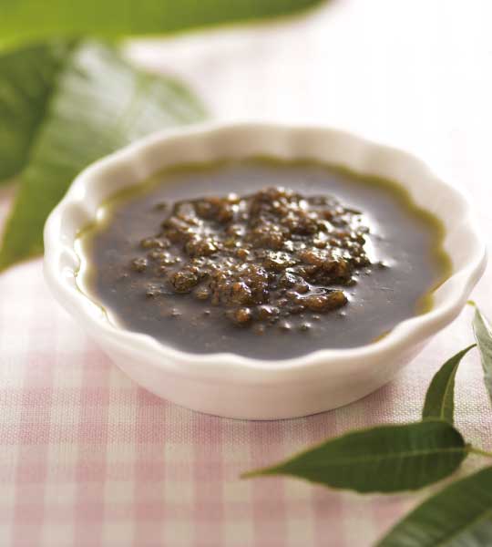 Vitamix調理機-春天-春分-香椿醬-醬料-蔬菜-時令蔬菜-陳月卿食譜-養生-防癌