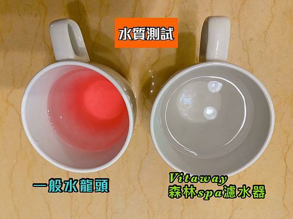 Vitaway森林SPA活水沐浴過濾器＿開箱體驗＿kol開箱＿育兒