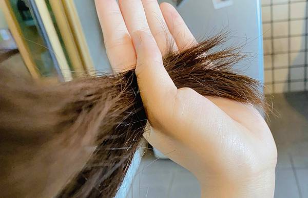 Vitaway森林SPA活水沐浴過濾器＿開箱體驗＿kol開箱＿育兒