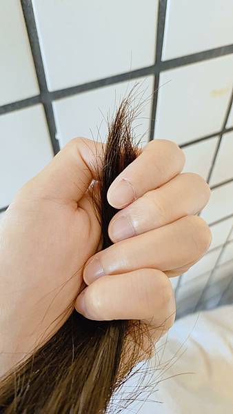 Vitaway森林SPA活水沐浴過濾器＿開箱體驗＿kol開箱＿育兒