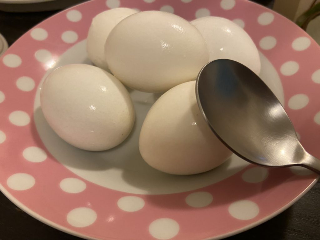 大侑-烹煮壺-北鼎one用壺-茶葉蛋-點心-宅家-防疫在家