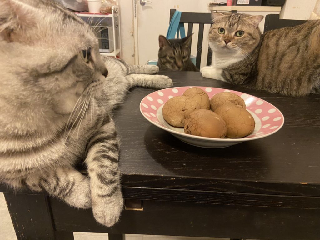 大侑-烹煮壺-北鼎one用壺-茶葉蛋-點心-宅家-防疫在家