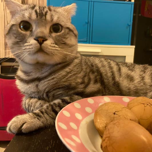 大侑-烹煮壺-北鼎one用壺-茶葉蛋-點心-宅家-防疫在家