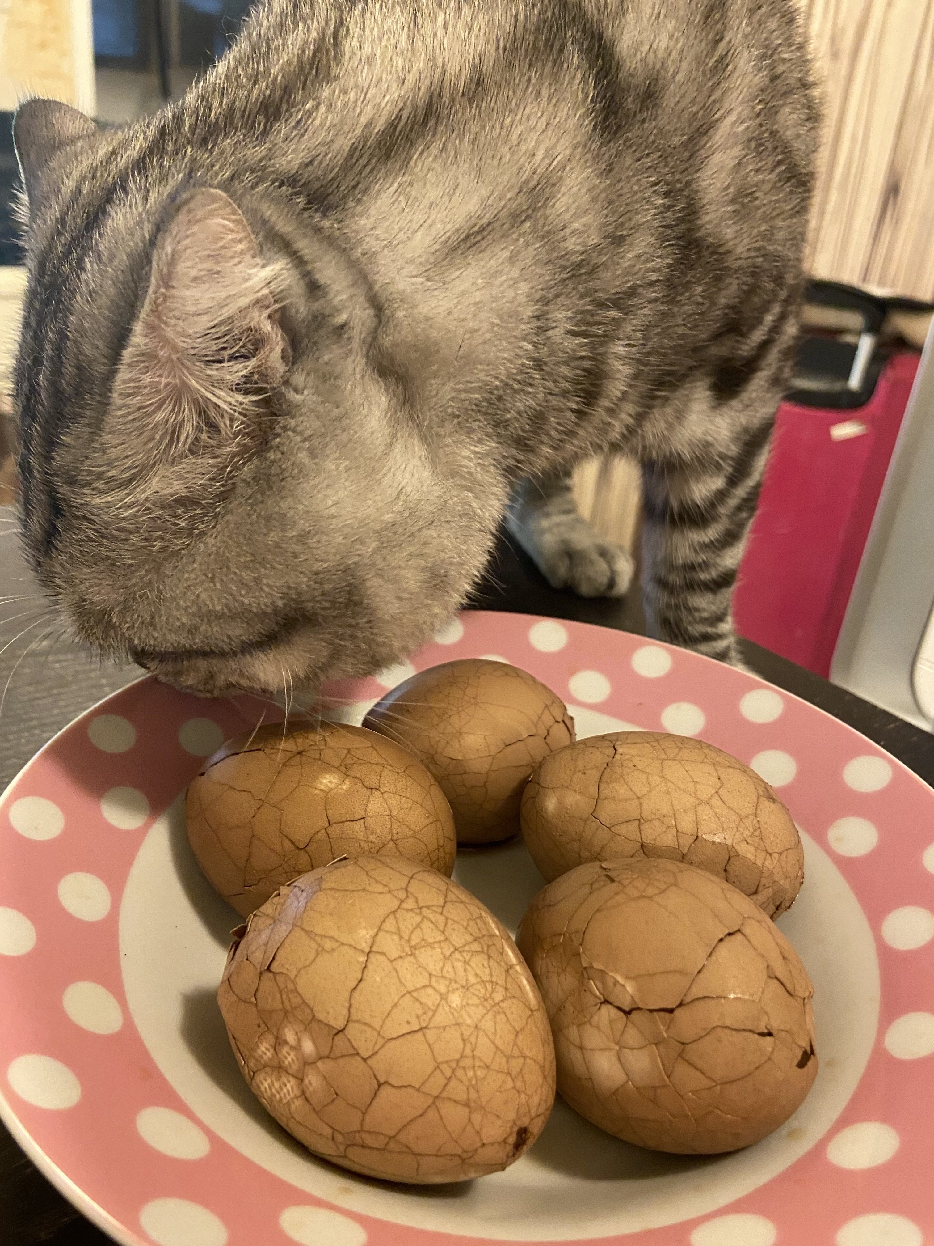 大侑-烹煮壺-北鼎one用壺-茶葉蛋-點心-宅家-防疫在家