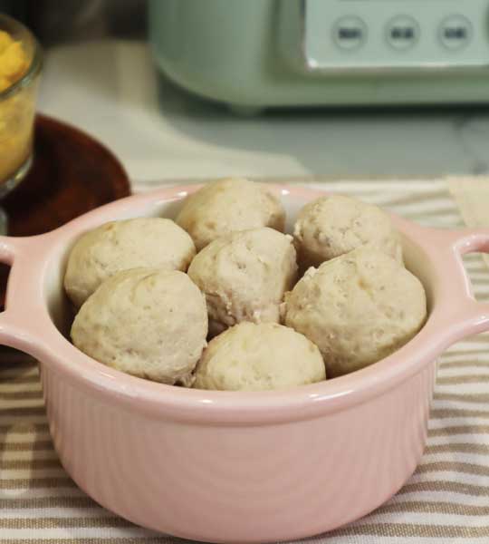 Vitamix調理機-陳月卿-Vitamix調理機-喵汪鮮蔬食-寵物-毛小孩-貓咪-狗-犬-喵-食物-料理-自製-健康-天然-雞胸肉-鯛魚-肉丸-丸子