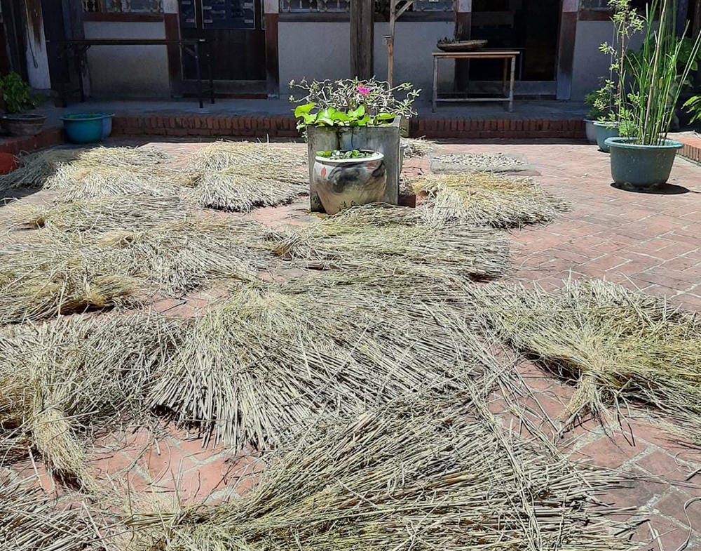 Vitamix-A3500i-A2500i-E320-調理機-鮮凍包-綠拿鐵-豆漿-豆榖漿-陳月卿-養身-活動-登保固-送好禮-無米樂