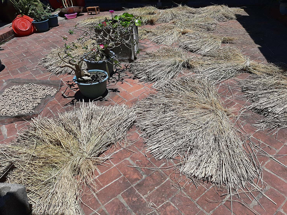 Vitamix-A3500i-A2500i-E320-調理機-鮮凍包-綠拿鐵-豆漿-豆榖漿-陳月卿-養身-活動-登保固-送好禮-無米樂