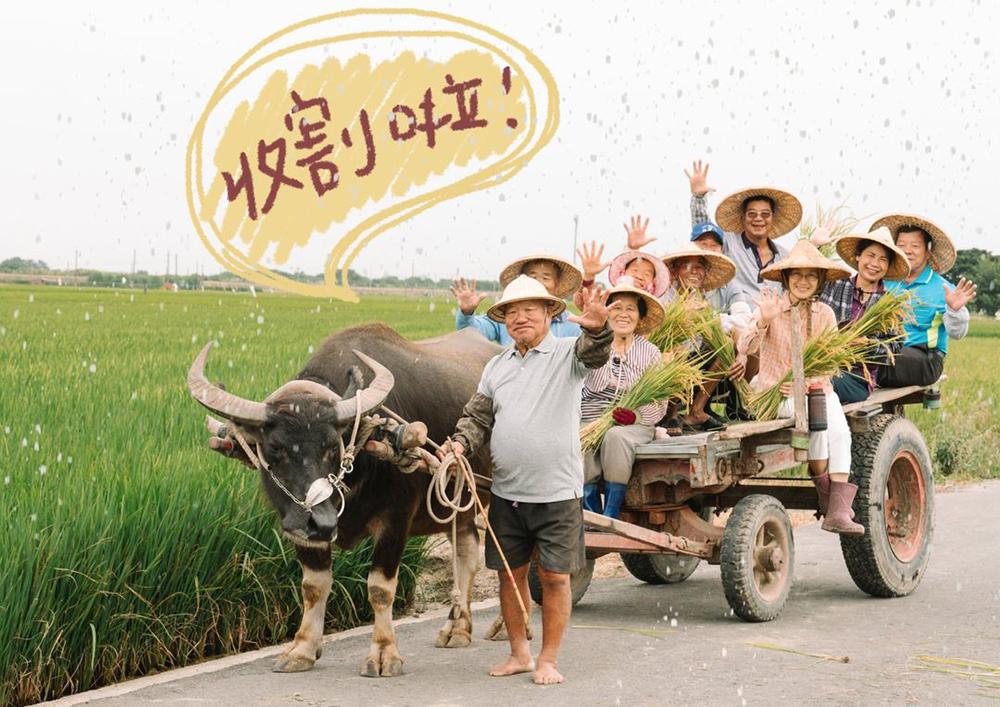 Vitamix-A3500i-A2500i-E320-調理機-鮮凍包-綠拿鐵-豆漿-豆榖漿-陳月卿-養身-活動-登保固-送好禮-無米樂