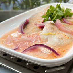 Vitamix-A2500i-A3500i-超跑級調理機-Ascent-北鼎-BUYDEEM-多功能蒸燉鍋-陳月卿-養生達人-檸檬鮮魚-魚類料理-食譜