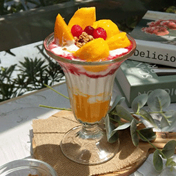 Vitamix調理機-A2500i-A3500i-超跑級調理機-優格-芒果冰-水果冰-養生達人-陳月卿-自製優格-手工