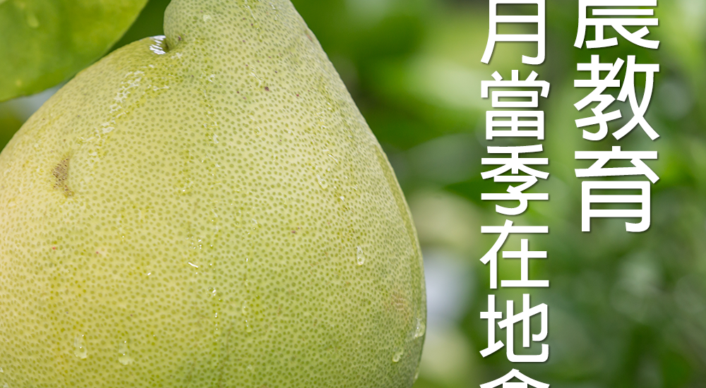 Vitamix調理機-A2500i-A3500i-超跑級調理機-陳月卿-養生達人-食譜-下午茶-食農-食農教育-綠色食譜-綠色飲食-永續飲食-當季食材-在地食材-柚子