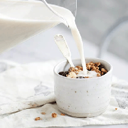 Vitamix調理機-A2500i-A3500i-超跑級調理機-陳月卿-養生達人-食譜--綠色食譜-綠色飲食-永續飲食-燕麥奶-植物奶-乳糖不耐症