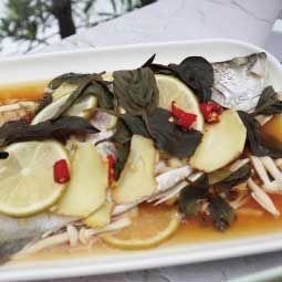 BUYDEEM-多功能蒸燉鍋-陳月卿-養生達人-食譜Vitamix調理機-A2500i-A3500i-超跑級調理機-番茄-花椰菜-雞腿-白酒-情人節-慶祝-檸檬-魚