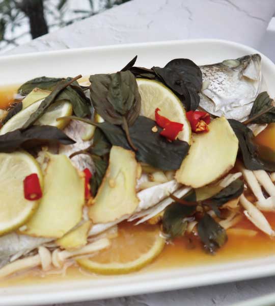 BUYDEEM-多功能蒸燉鍋-陳月卿-養生達人-食譜Vitamix調理機-A2500i-A3500i-超跑級調理機-番茄-花椰菜-雞腿-白酒-情人節-慶祝-檸檬-魚