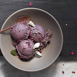 Vitamix調理機-A2500i-A3500i-超跑級調理機-陳月卿-養生達人-食譜-下午茶-食農-綠色食譜-綠色飲食-永續飲食-素食-冰淇淋-水果冰淇淋-自製