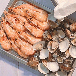 BUYDEEM-北鼎-蒸燉鍋-陳月卿-養生達人-食譜-養生-食農教育-食蔬-蛋白質-海鮮