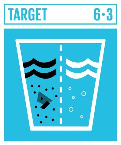 GOAL_6_TARGET_6.3