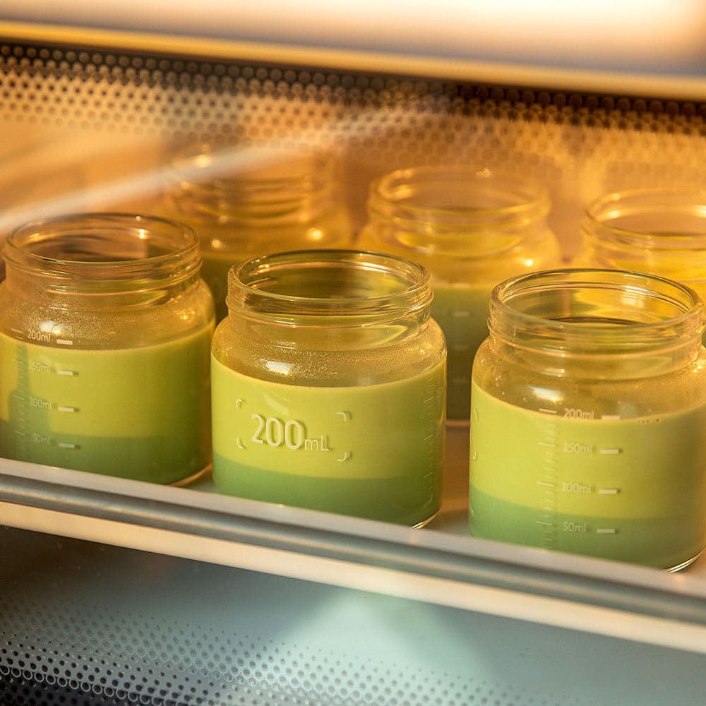 buydeem-陳月卿-大侑-dietu-北鼎-分裝罐