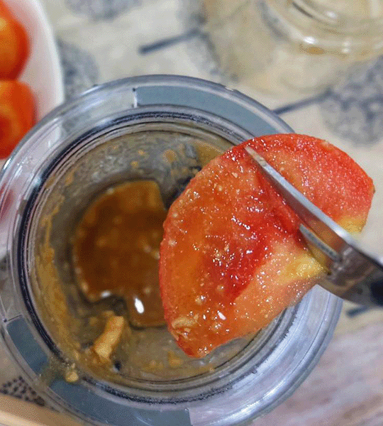 大侑-dietu-食譜-料理分享-Vitamix-A3500i超跑級調理機-北鼎-BUYDEEM-多功能蒸燉鍋-陳月卿-養生達人-番茄沾醬-沾醬