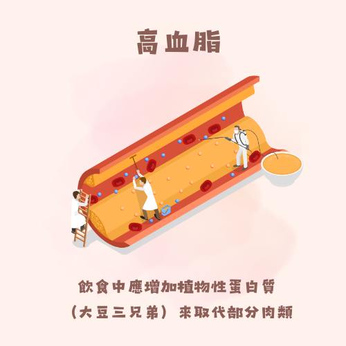 維他顧-vitacodes-大豆胜肽-優質蛋白質-慢性病-蛋白質-高血脂