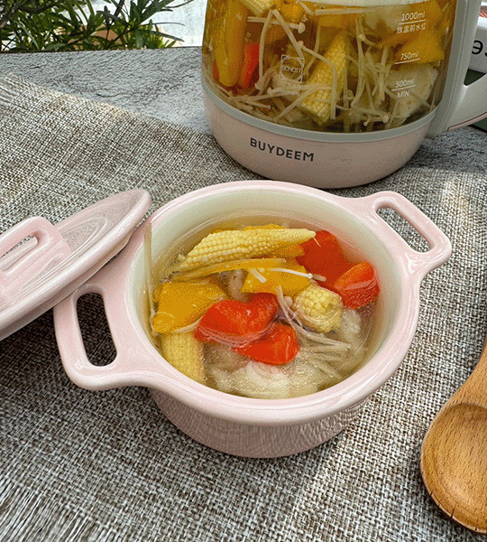 BUYDEEM-北鼎-多功能-粉漾壺-燉鍋-陳月卿-養生達人-食譜--免開火-免顧火-彩蔬魚湯