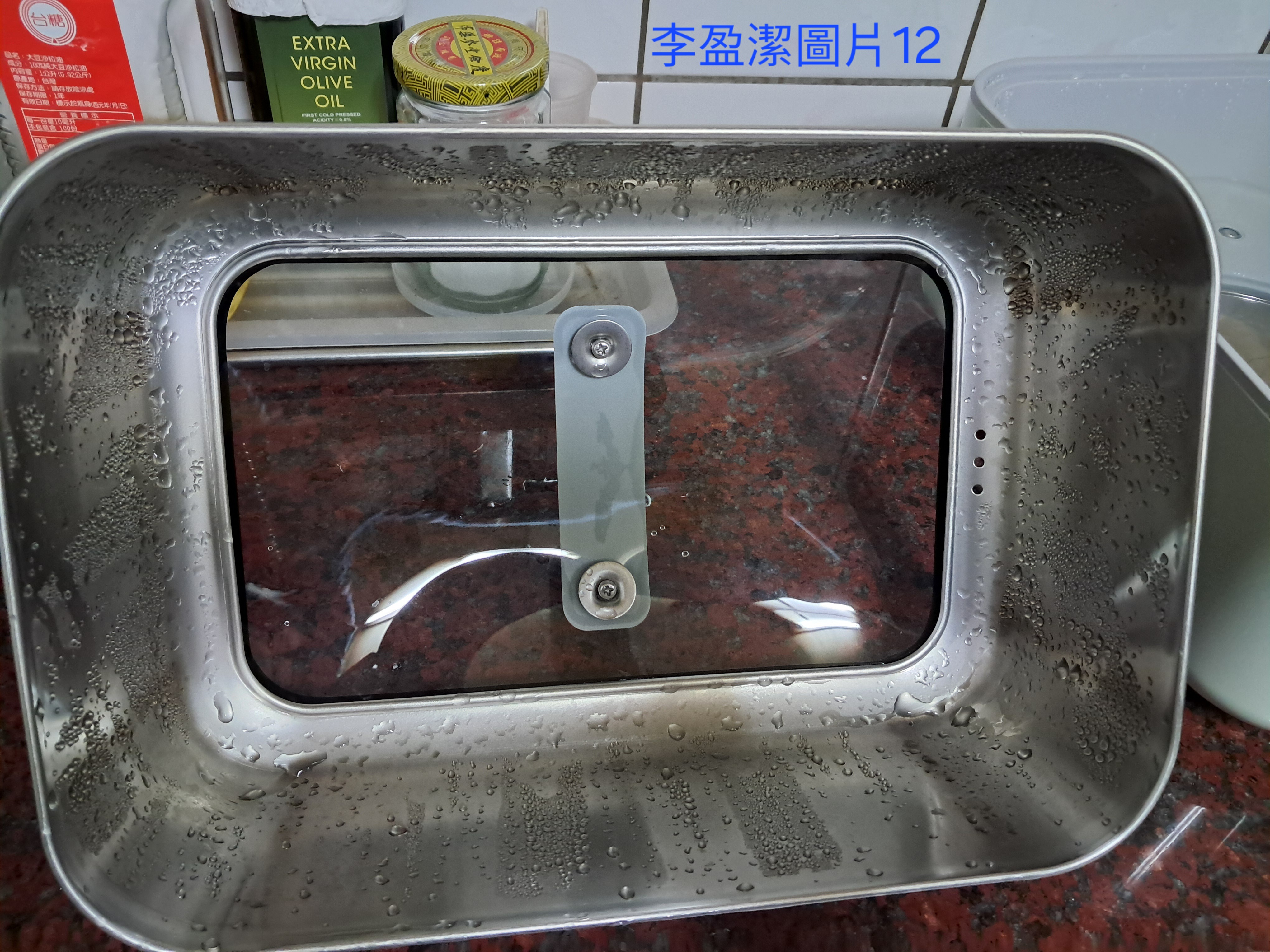 BUYDEEM-北鼎-多功能蒸燉鍋-燉鍋-陳月卿-養生達人-食譜--免開火-免顧火-蒸魚-心得-分享-素人