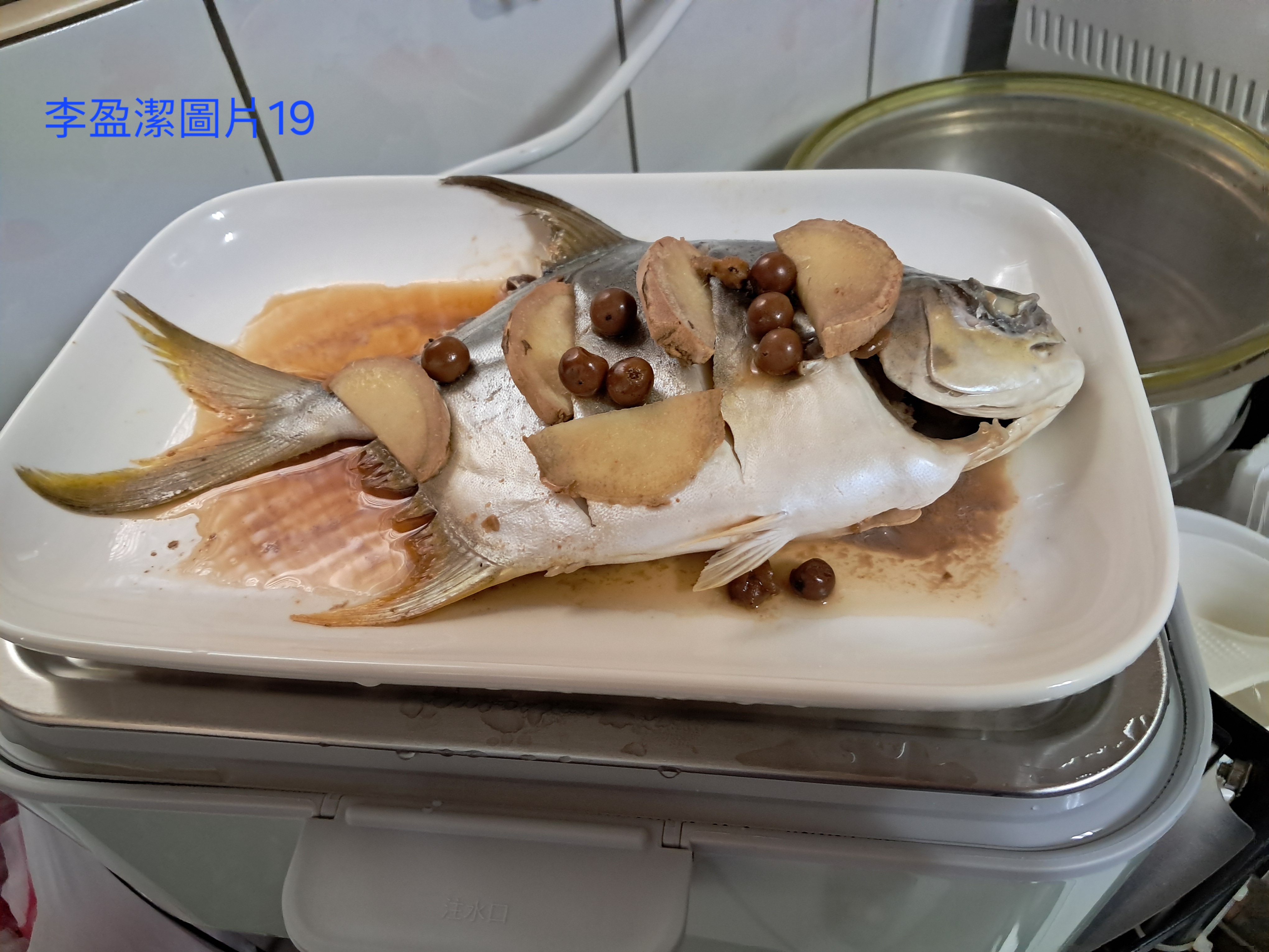 BUYDEEM-北鼎-多功能蒸燉鍋-燉鍋-陳月卿-養生達人-食譜--免開火-免顧火-蒸魚-心得-分享-素人