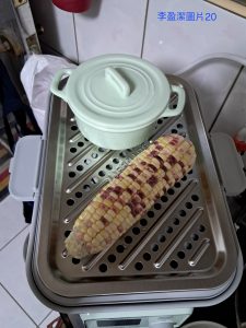 BUYDEEM-北鼎-多功能蒸燉鍋-燉鍋-陳月卿-養生達人-食譜--免開火-免顧火-蒸魚-心得-分享-素人