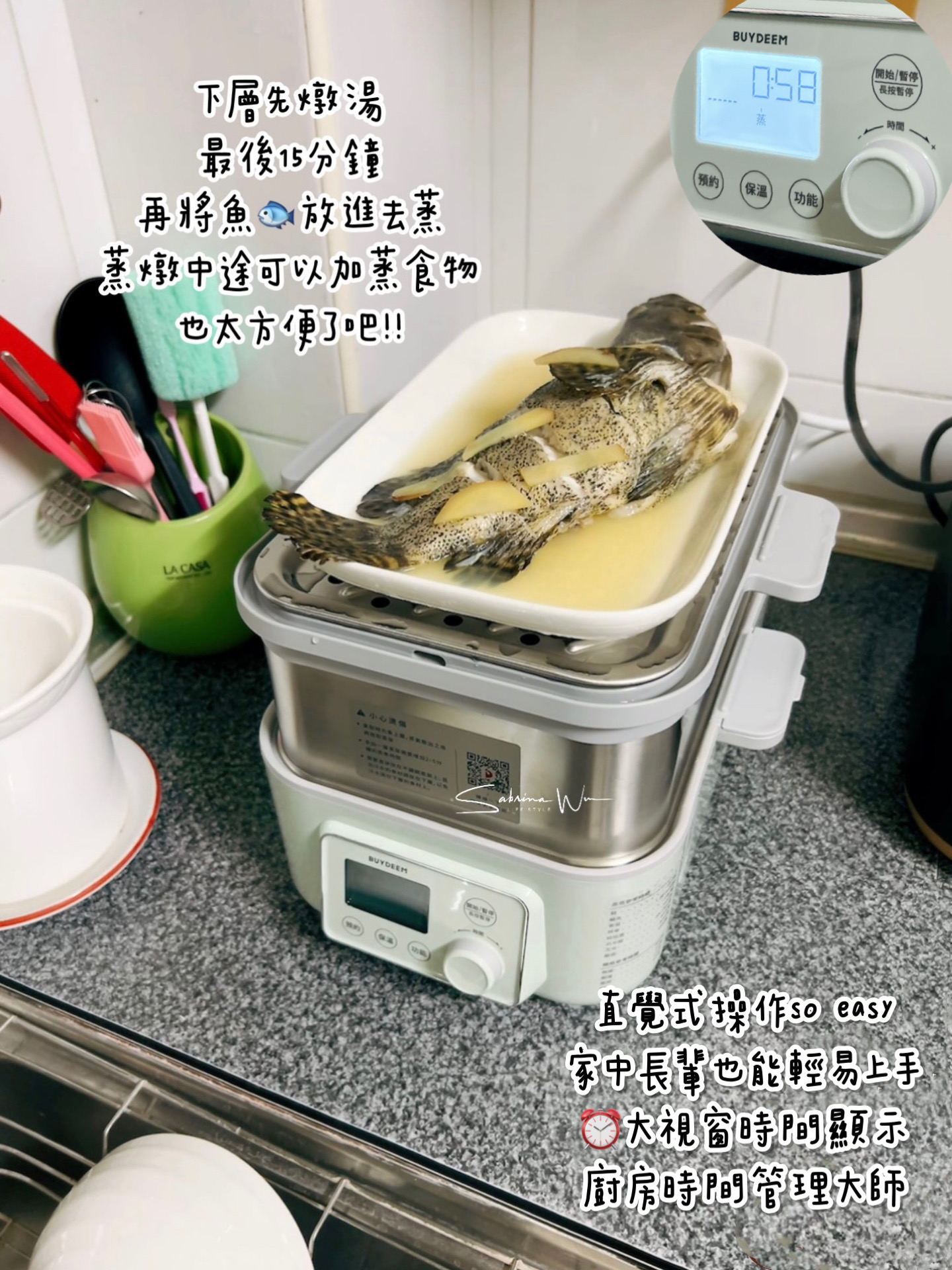 BUYDEEM-北鼎-多功能蒸燉鍋-燉鍋-陳月卿-養生達人-食譜--免開火-免顧火-蒸魚-心得-分享-素人