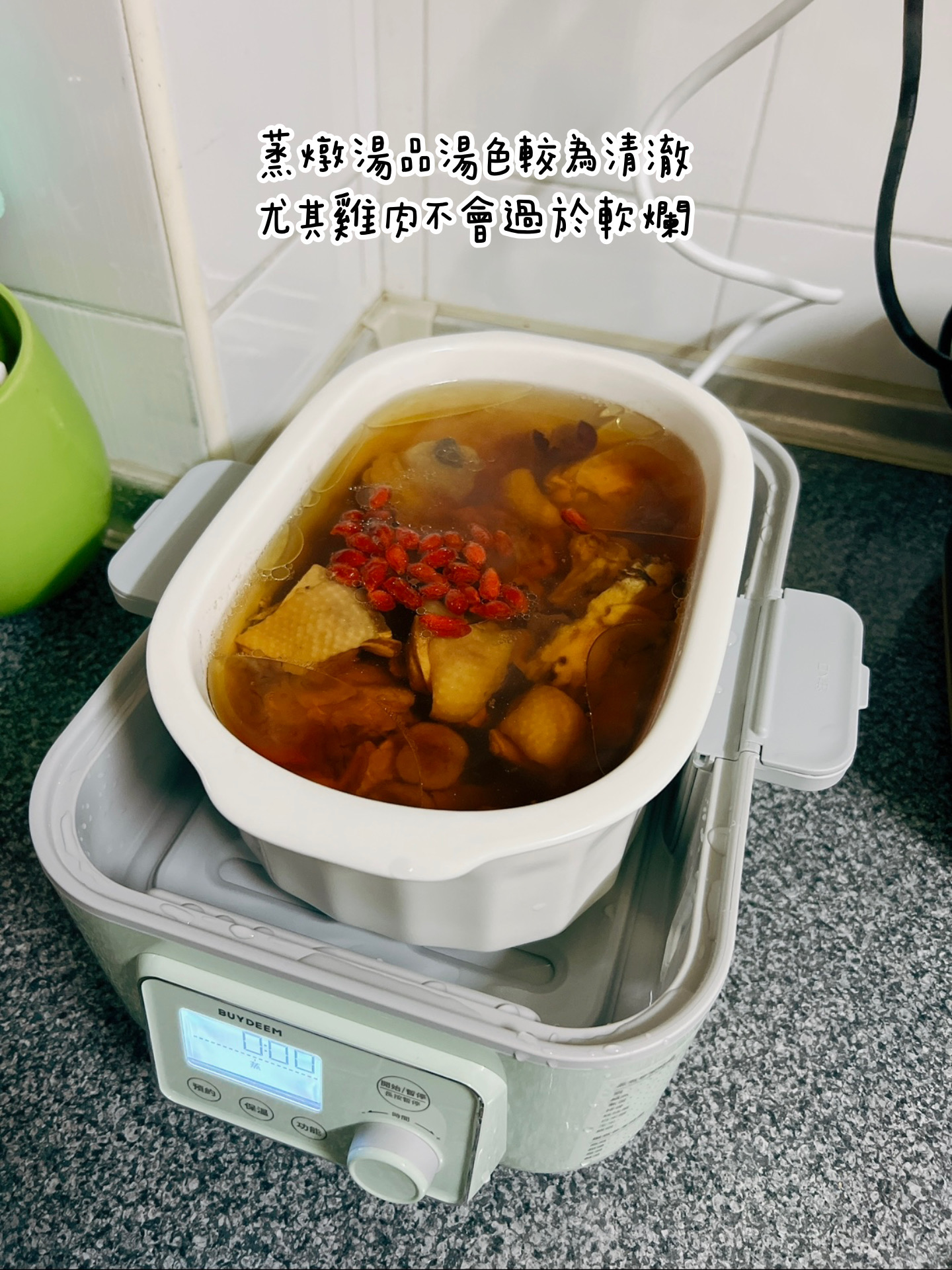 BUYDEEM-北鼎-多功能蒸燉鍋-燉鍋-陳月卿-養生達人-食譜--免開火-免顧火-蒸魚-心得-分享-素人