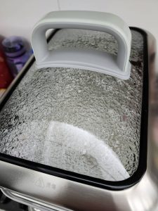 BUYDEEM-北鼎-多功能蒸燉鍋-燉鍋-陳月卿-養生達人-食譜--免開火-免顧火-蒸魚-心得-分享-素人