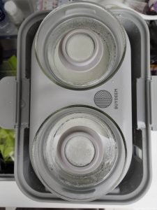 BUYDEEM-北鼎-多功能蒸燉鍋-燉鍋-陳月卿-養生達人-食譜--免開火-免顧火-蒸魚-心得-分享-素人