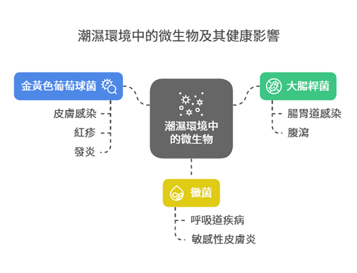 橘寶_洗淨液_清潔_蔬果清洗_毛巾清洗