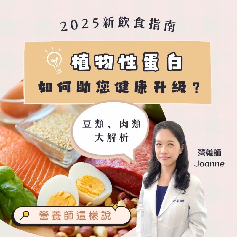 蛋白質豆類、肉類大解析