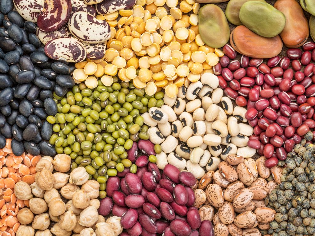 豆類 蛋白質White Flat Graphic Style Package Comparison Chart Graph