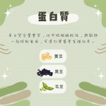 蛋白質豆類、肉類大解析