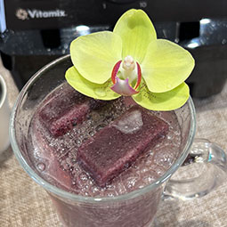 Vitamix_E20_A3500i_A2500i_SOUPER CUBES_食品級矽膠保鮮盒_專利設計_FDA認證_無塑化劑_無毒_無重金屬_無雙酚A