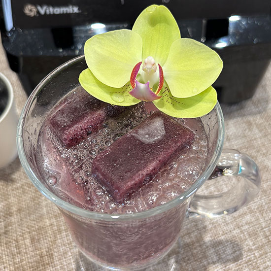 Vitamix_E20_A3500i_A2500i_SOUPER CUBES_食品級矽膠保鮮盒_專利設計_FDA認證_無塑化劑_無毒_無重金屬_無雙酚A